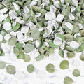 Real White Rose Petals & Natural Eucalyptus Leaves 2.12oz, Freeze Dried Flower by Eslibin