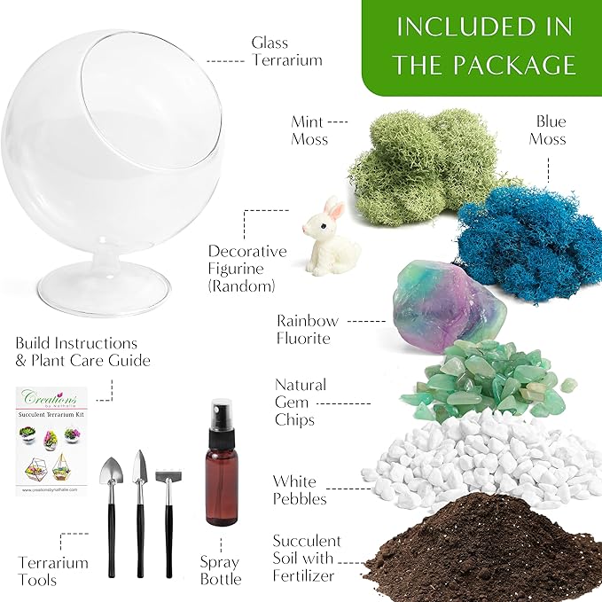 DIY Glass Plant Terrarium Kit for Adults, Metal Stand, Reindeer Moss, Tools & - Image 2