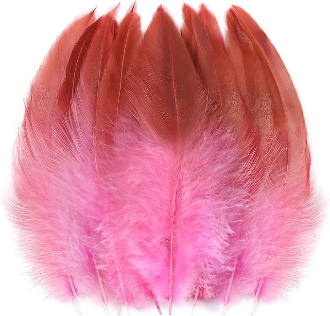 SOGUGOM Pink Rooster Tail Feathers by SOGUGOM