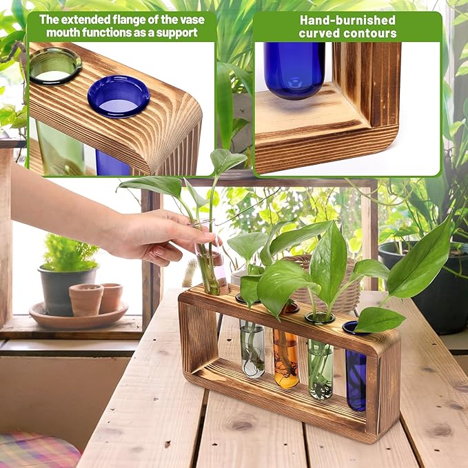 Glass Plant Propagation Station - Image 4