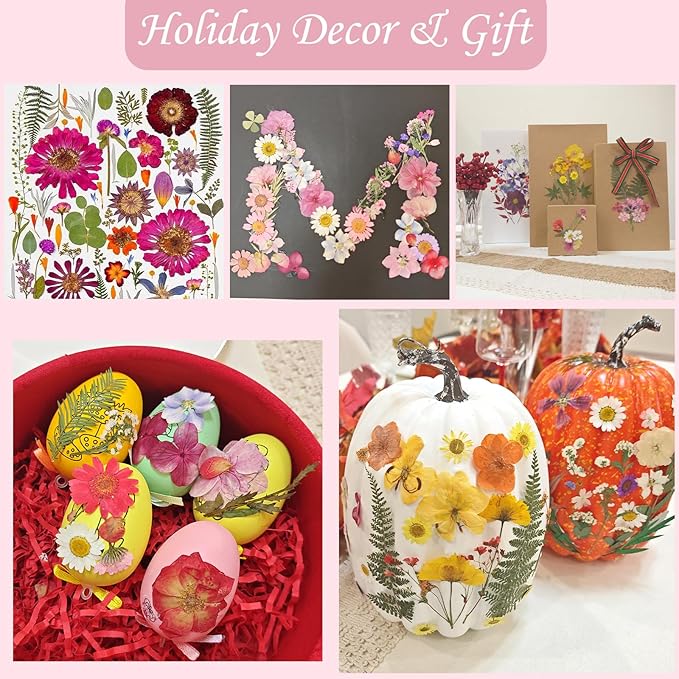 120 Pcs Dried Pressed Flowers for Crafts, Real Natural Flowers in Vibrant Yellow - Image 7