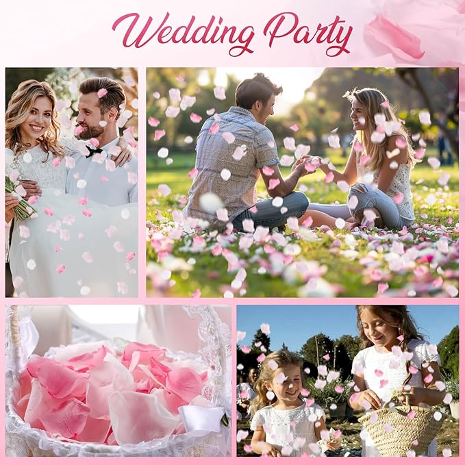 300 PCS Real Pink White Rose Flower Petals Confetti - Image 4