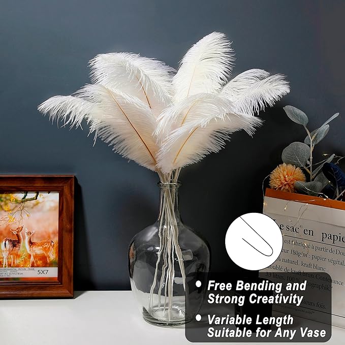 Holmgren Beige Ostrich Feathers Bulk - Image 2