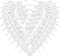 50pcs 2-1/2" White Satin Ribbon Bows by Micomon