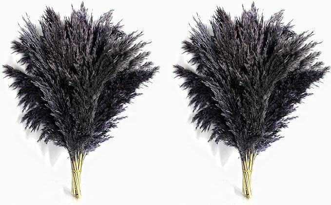 Black Pampas Grass for Home Decor - Image 2