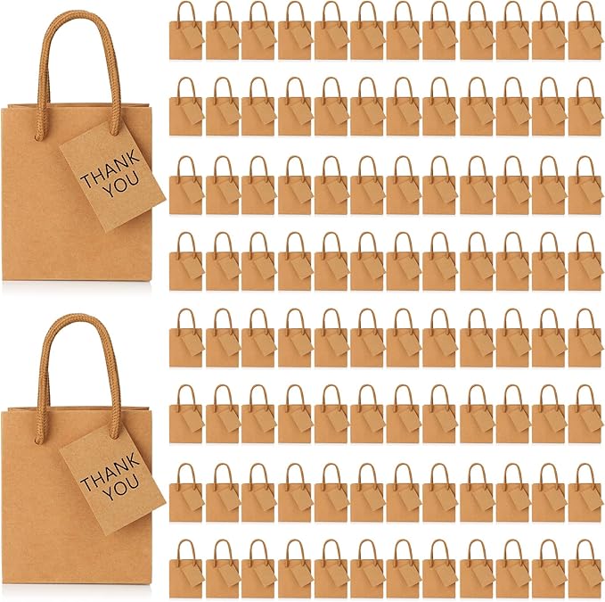 Sherr 100 Pack Mini Gift Bags Bulk, 4 x 2.75 x 4.5 Inches Paper Bags by Sherr
