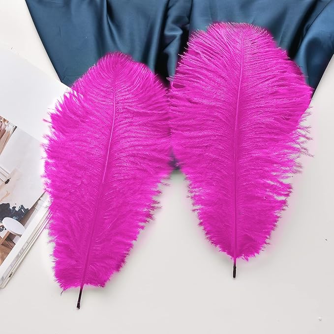 Ballinger Fuchsia Large Ostrich Feathers - Image 5
