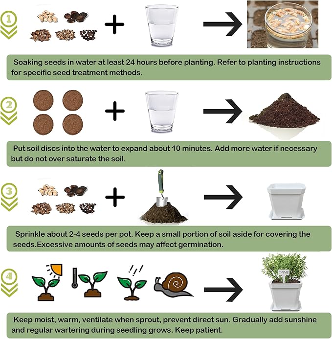10 Herb Seeds Garden Starter Grow Kit - Image 5