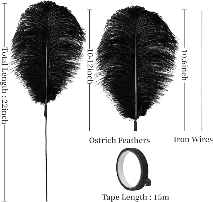 Holmgren Black Ostrich Feathers Bulk - Image 3
