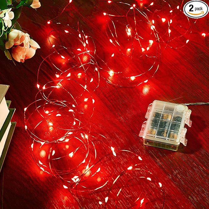 2 Pack 16.4 Ft. Battery Operated Outdoor String Lights by Ariceleo