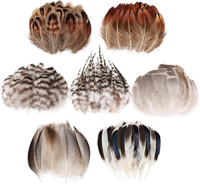 MAOFENG 210pcs 7 Styles Natural Bulk Feathers Assorted Mixed Feathers by MAOFENGFEATHER