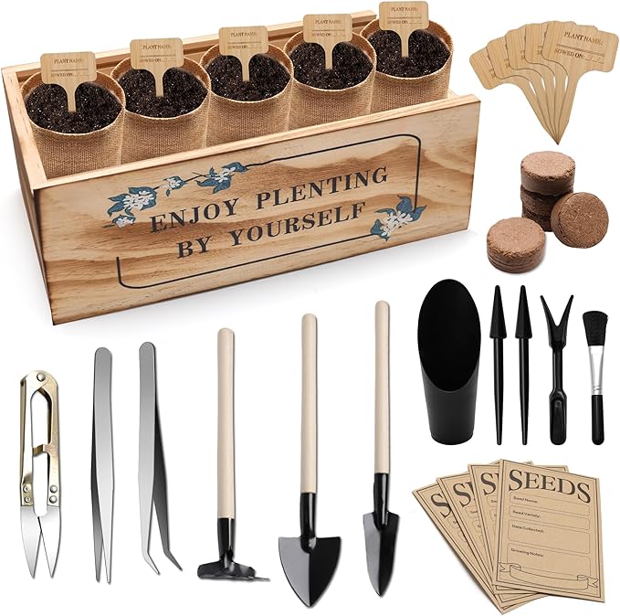 Bonsai Tree Starter Kit, Indoor Bonsai Tree Kit Meeting Planting and Caring by Zhaoyao