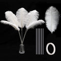 Holmgren White Ostrich Feathers Bulk by Holmgren