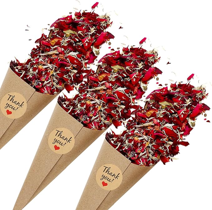 PATIKIL Dried Flower Confetti Cones by PATIKIL
