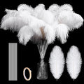 Hanaive 150 Pcs Ostrich Feathers Set Bulk Plumes 12-14 Inch 70 Pcs Large by Hanaive