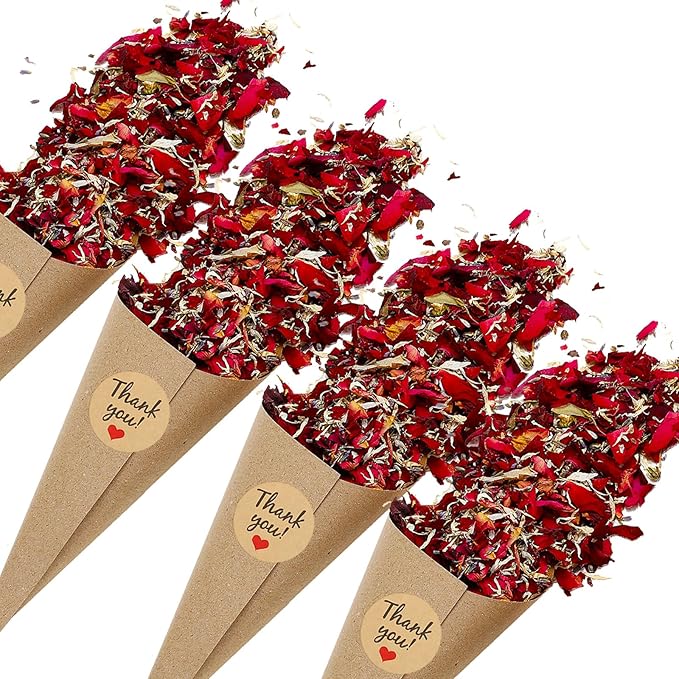 PATIKIL Dried Flower Confetti Cones by PATIKIL