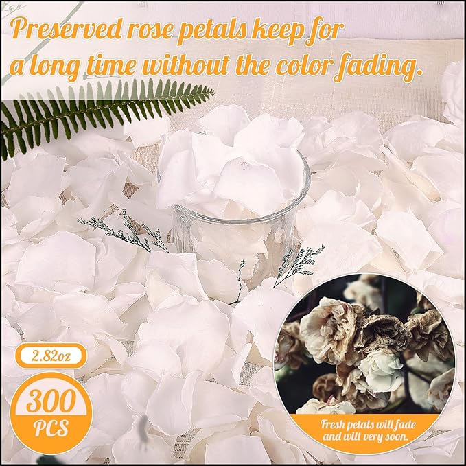 300 PCS Real White Rose Petals for Wedding, 2.82oz Fresh Rose Petals for Flower - Image 6
