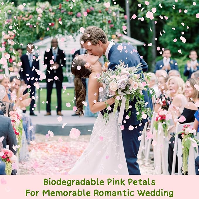 1500Pcs Real Hydrangea Pink Dried Flower Petals - Image 2