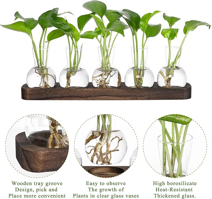 YIBOT Plant Propagation Stations, Glass Propagation Vases - Image 3