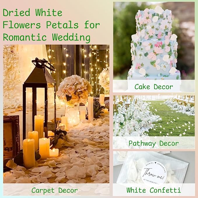 3000+Pcs Real Ivory White Dried Hydrangea Flower Petals - Image 6