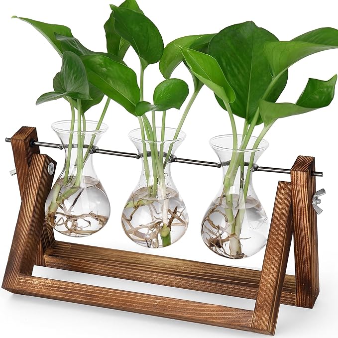 YIBOT Propagation Stations, Plant Terrarium by YIBOT