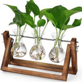 YIBOT Propagation Stations, Plant Terrarium by YIBOT