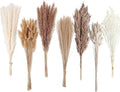Dried Pampas Grass Decor, Reed Grass Bouquet by ANPROOR