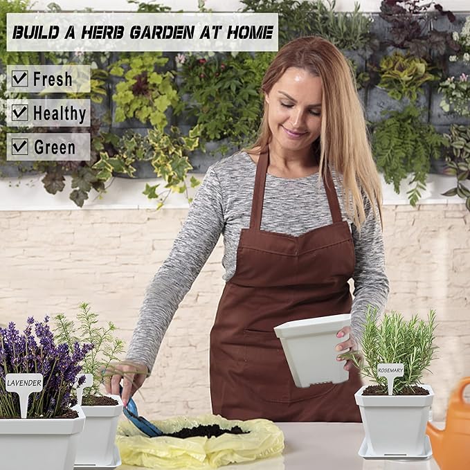 10 Herb Seeds Garden Starter Grow Kit - Image 6
