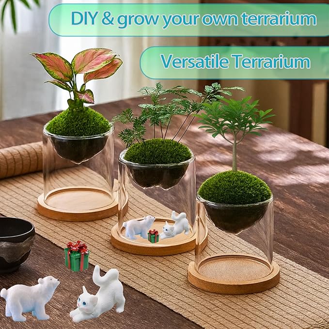 Versatile Plant Propagation Station Vase Hydroponic Planter Pot, Glass Plant - Image 4