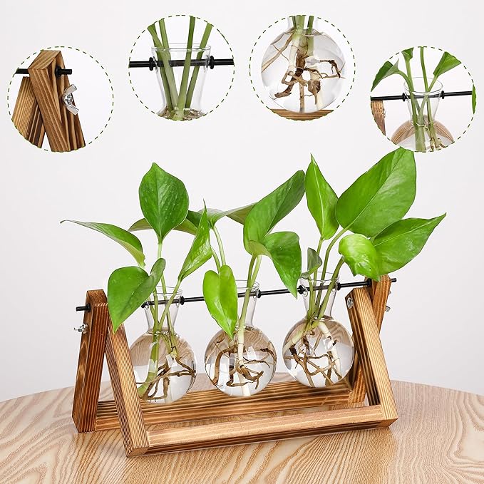 YIBOT Plants Propagation Stations, Desk Plant Terrarium - Image 3