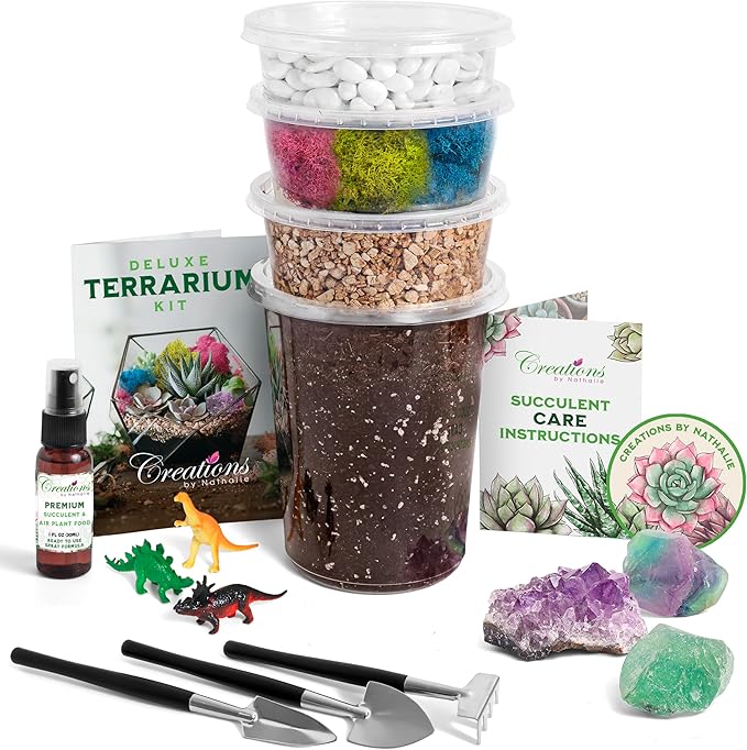 – DIY Large Terrarium Starter Kit by CreationsbyNathalie