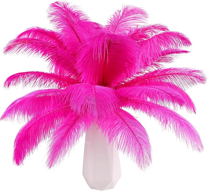 THARAHT Hot Pink Ostrich Feathers 12pcs Natural Bulk 10-12Inch 25cm-30cm by THARAHT