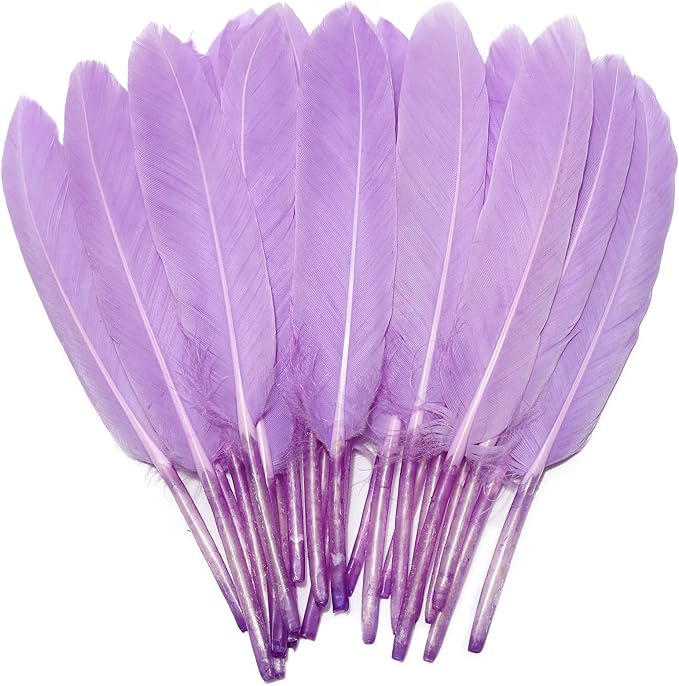 FeelfunFeather 120pcs Light Purple Goose Cochettes Feather Natural Bulk 4-6 by FeelFunFeather