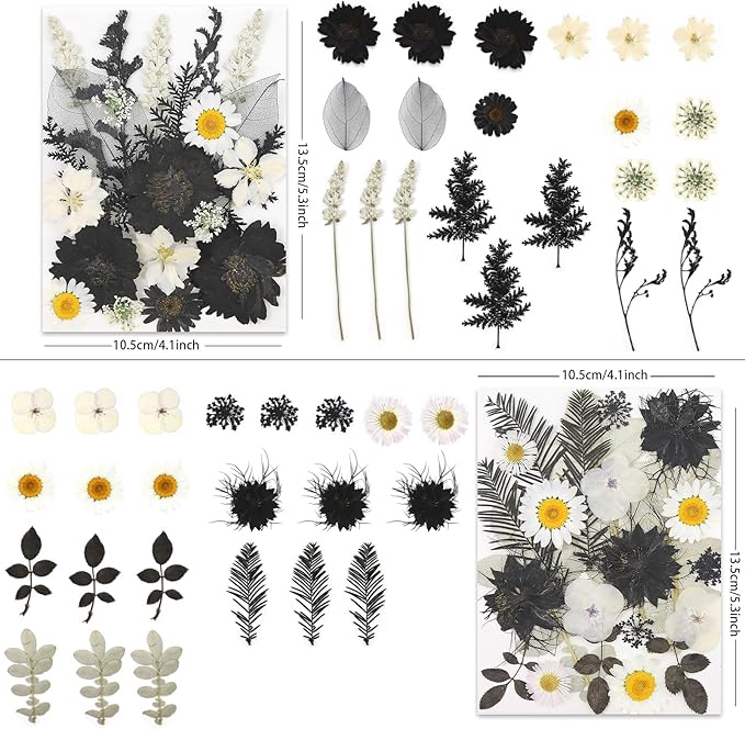 90P Black & White Dried Flowers - Image 3