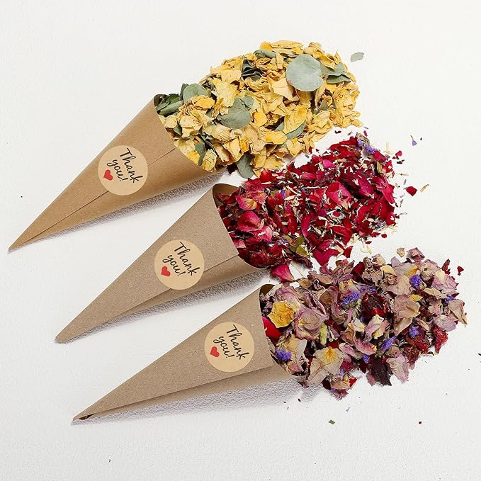 PATIKIL Dried Flower Confetti Cones - Image 4
