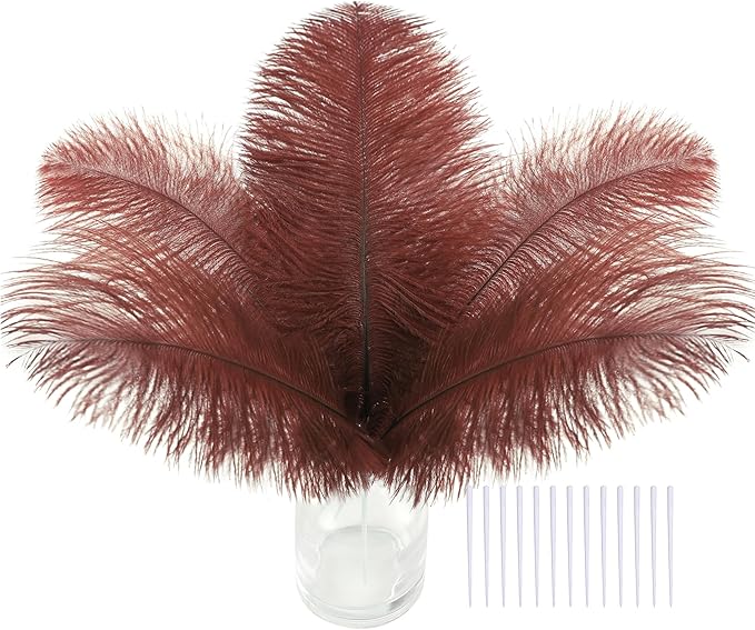 SOGUGOM Brown Craft Ostrich Feathers by SOGUGOM