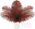 SOGUGOM Brown Craft Ostrich Feathers by SOGUGOM