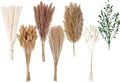 123 PCS Dried Flower Bouquet – Pampas Grass, Floral Decor by ANPROOR