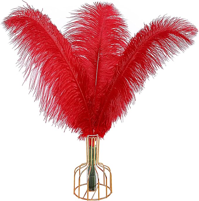 THARAHT Red Ostrich Feathers 12pcs Large Natural Bulk 16-18Inch 40cm-45cm by THARAHT