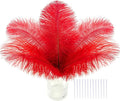 SOGUGOM Red Craft Ostrich Feathers by SOGUGOM