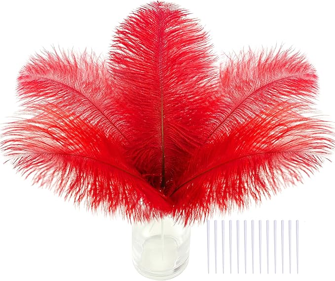 SOGUGOM Red Craft Ostrich Feathers by SOGUGOM