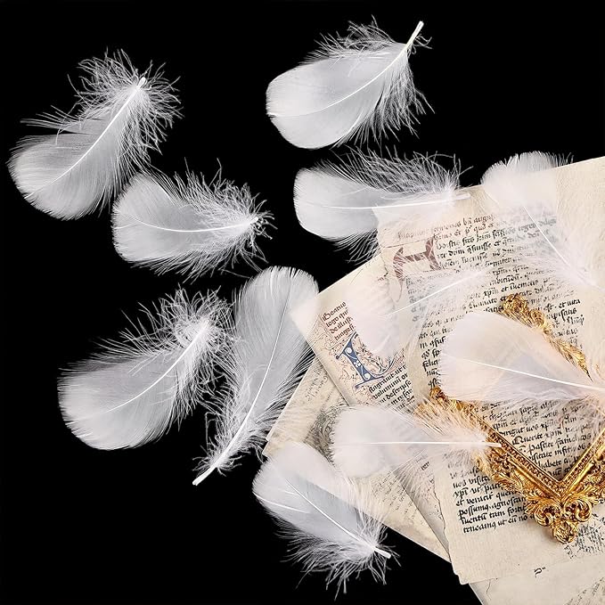 THARAHT 360pcs White Feathers 3-5 inch Craft Feathers Assorted Rainbow Colors - Image 6