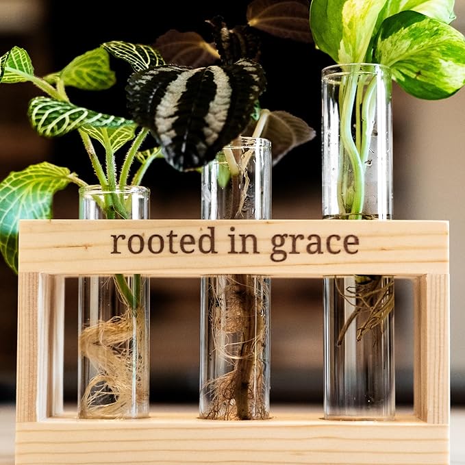 Rooted in Grace: Plant Propagation Stations: Plant Cutting Holder w/ 3 Glass - Image 7