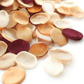 Floroom 300pcs Rose Petals Chic Terracotta Faux Silk Flower Petals Burnt Orange by Floroom