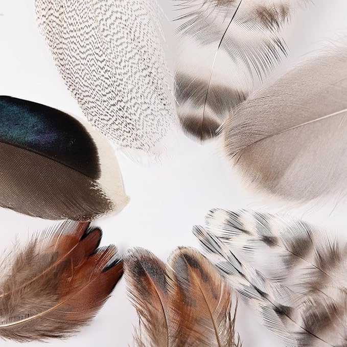 MAOFENG 210pcs 7 Styles Natural Bulk Feathers Assorted Mixed Feathers - Image 3