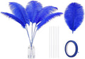 Holmgren Royal Blue Ostrich Feather by Holmgren