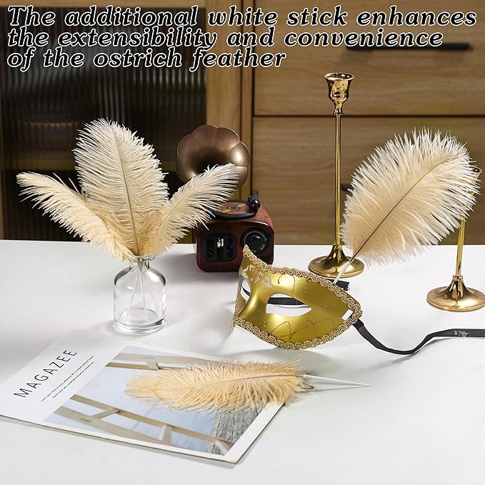 SOGUGOM Champagne Craft Ostrich Feathers - Image 5