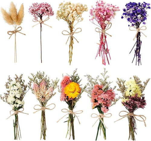 10/12/24/36 Pack Mini Dried Flowers by Unknown