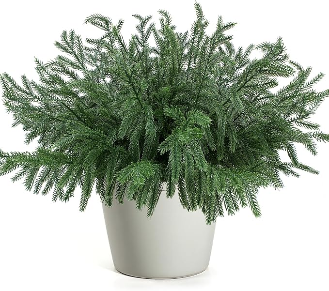 12 Pcs Christmas Norfolk Pine Branches, Artificial Pine Christmas Stems Real by GeegoodsLLC