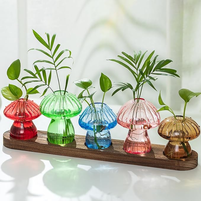 Glass Propagation Station for Plant: Mushroom Planter by Hewory
